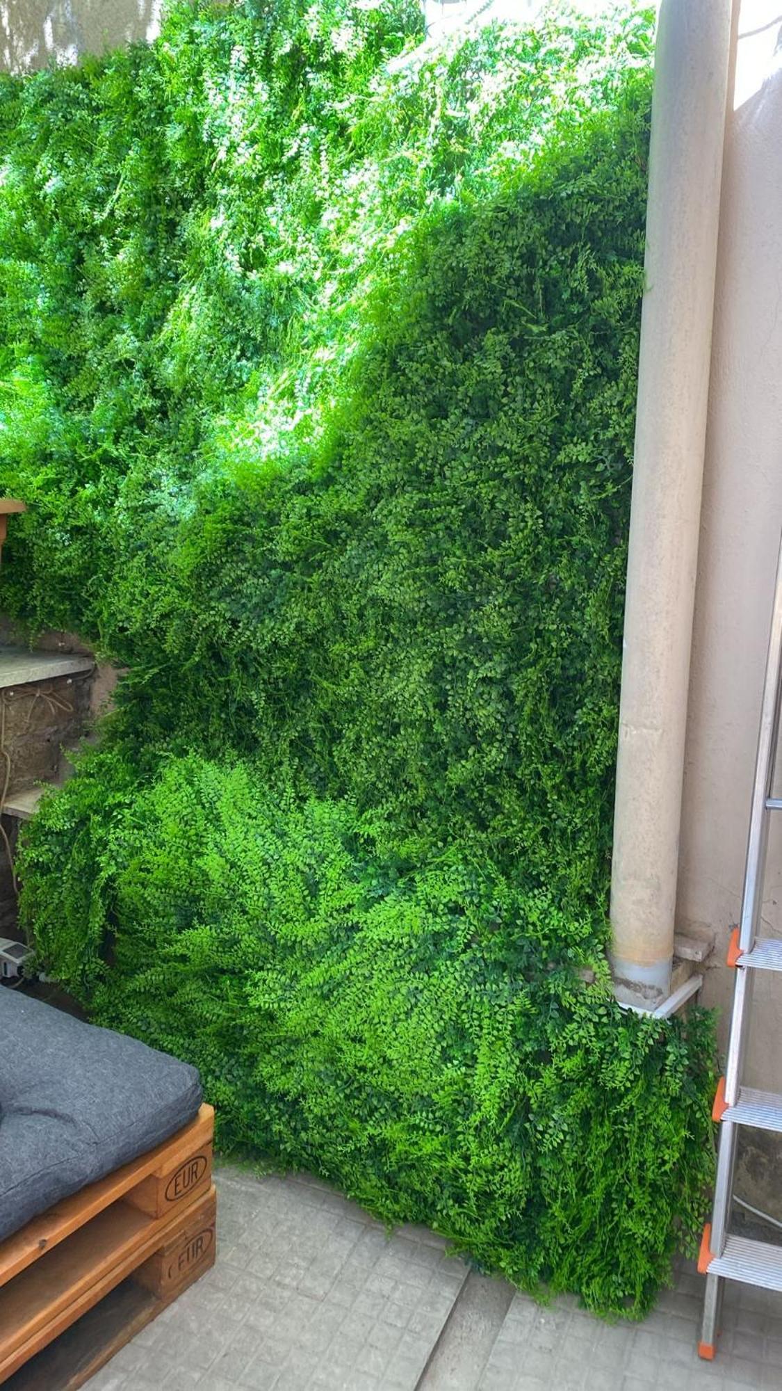 The Green House 로마 외부 사진